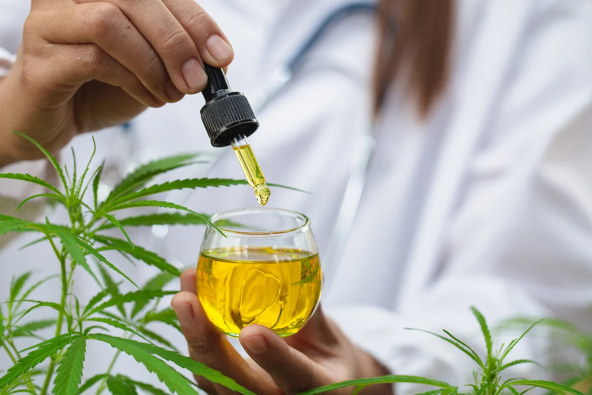 Incredible Ways To Find Trusted CBD Providers